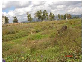 通?？h九龍池食品有限公司年加工2800噸橙汁飲料生產(chǎn)線項目